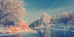 Snowy Winter Forest Wallpaper image 5