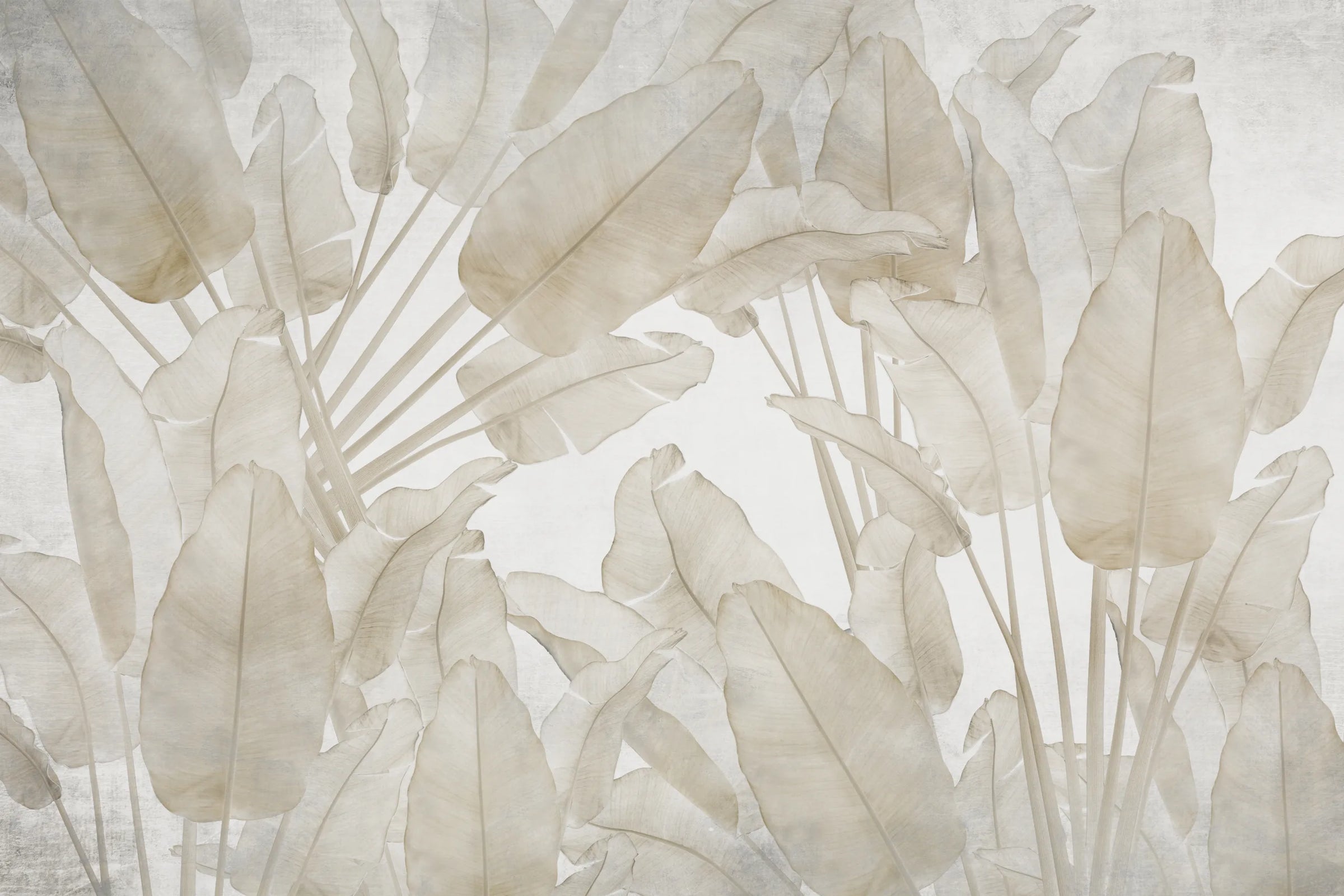 Tropical Banana Leaf Wallpaper | Beige Leaf Wall Design– Peel and Stick image 6