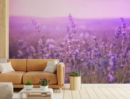 Purple Beauty of Lavender Floral Wallpaper image 3