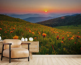 Golden Hour Meadow Nature Peel and Stick Wallpaper image 4