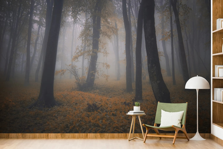 Howdy Wallpaper : Shop Peel and Stick Wallpaper