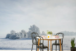 Winter Forest Wallpaper | Snowy Trees Peel And Stick Wall Mural image 0