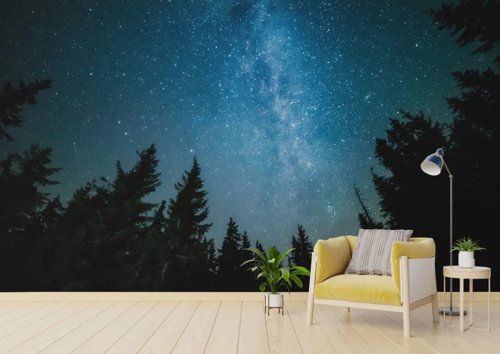 Howdy Wallpaper : Shop Peel and Stick Wallpaper