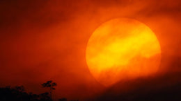 Warm Twilight Sunset Peel and Stick Nature Wallpaper image 5