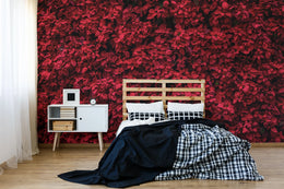 Elegant Red Poinsettia | Floral Botanical Peel and Stick Wallpaper image 0