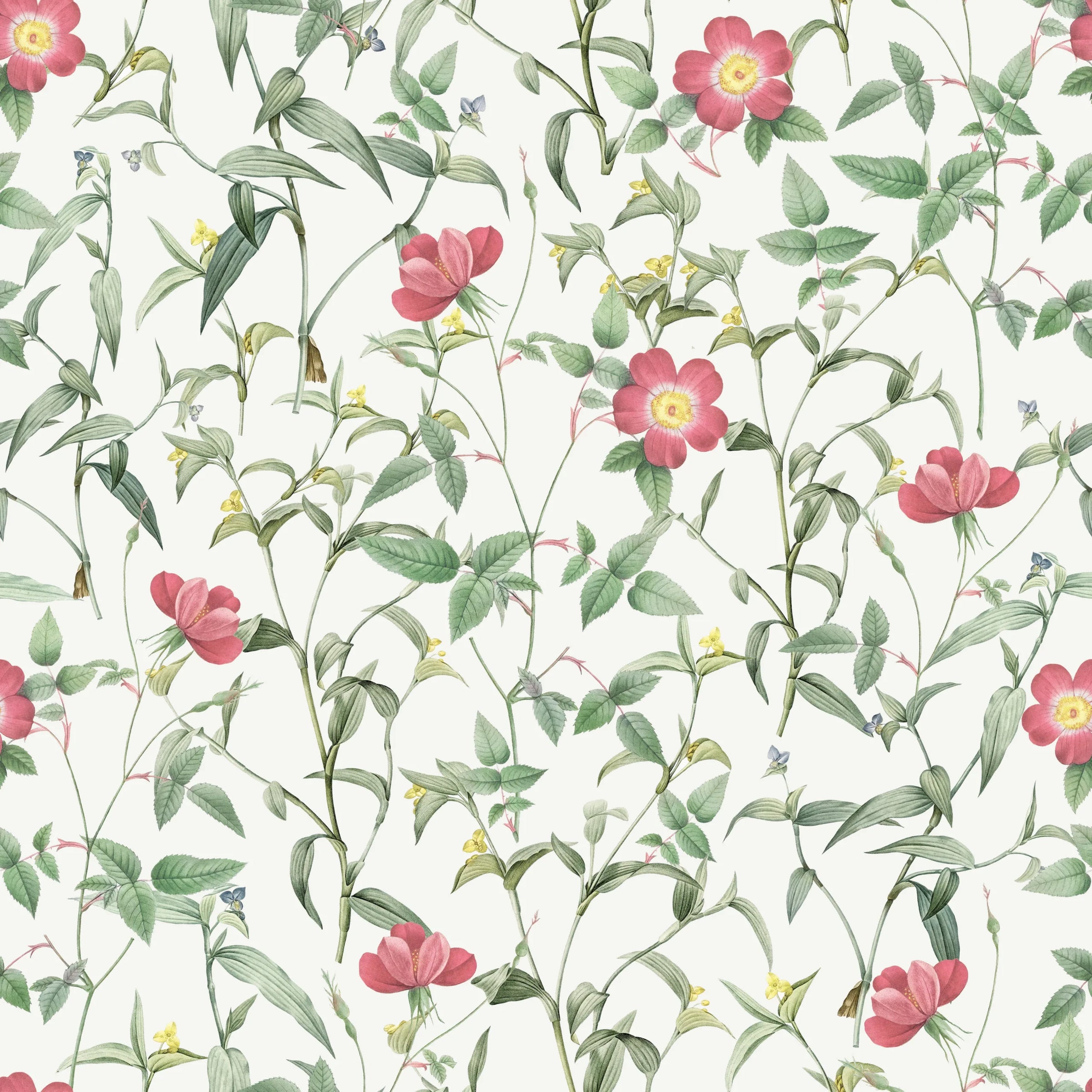 French Floral Design | Pink Roses Removable Wallpaper for Bedroom image 5