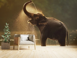 Wild Elephant Mural | Golden Hour Jungle Self Adhesive Wallpaper image 1