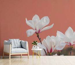 Morning Glory White Flowers Floral Wallpaper image 3