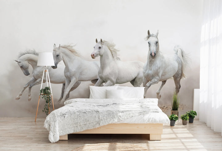 Howdy Wallpaper : Shop Peel and Stick Wallpaper