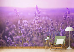 Purple Beauty of Lavender Floral Wallpaper image 1