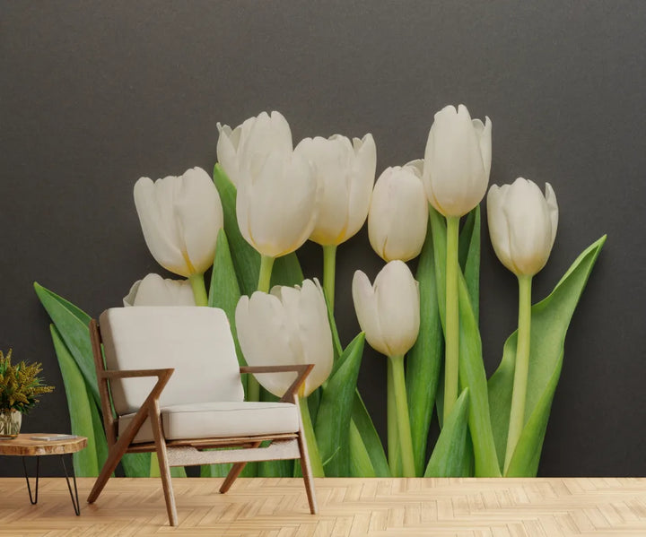 Howdy Wallpaper : Shop Peel and Stick Wallpaper