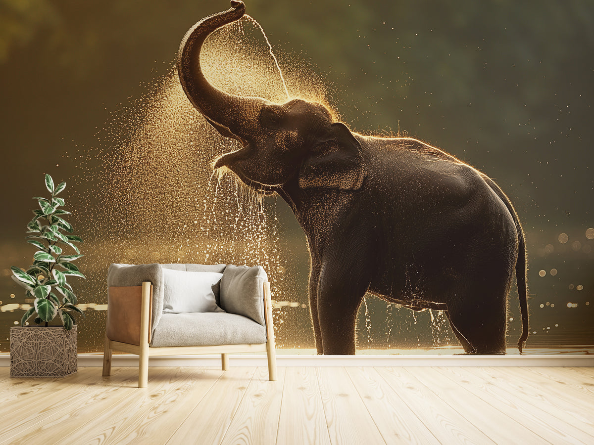 Wild Elephant Mural | Golden Hour Jungle Self Adhesive Wallpaper
