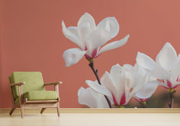 Morning Glory White Flowers Floral Wallpaper