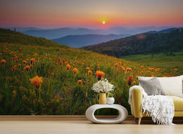 Golden Hour Meadow Nature Peel and Stick Wallpaper image 0