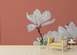 Morning Glory White Flowers Floral Wallpaper