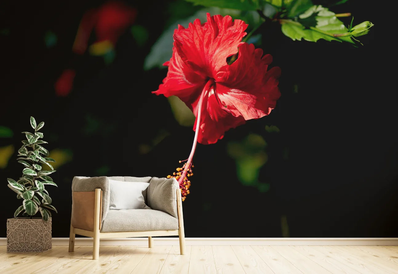 Sunlit Meadow Floral Wallpaper image 3