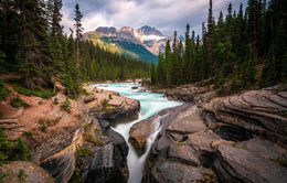 Breathtaking Forest Removable Wallpaper image 5