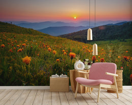Golden Hour Meadow Nature Peel and Stick Wallpaper
