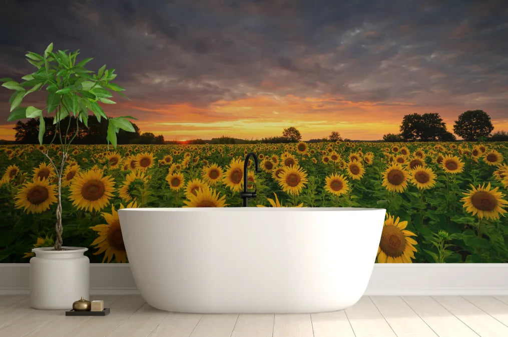 Golden Sunflower Bloom Peel and Stick Wallpaper image 0