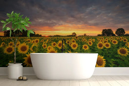 Golden Sunflower Bloom Peel and Stick Wallpaper image 0