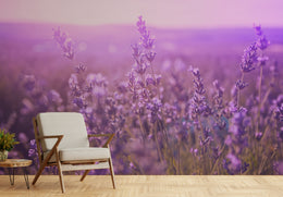 Purple Beauty of Lavender Floral Wallpaper