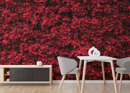 Elegant Red Poinsettia | Floral Botanical Peel and Stick Wallpaper