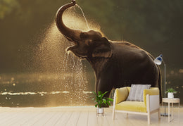 Wild Elephant Mural | Golden Hour Jungle Self Adhesive Wallpaper