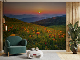 Golden Hour Meadow Nature Peel and Stick Wallpaper