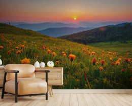Golden Hour Meadow Nature Peel and Stick Wallpaper