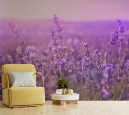 Purple Beauty of Lavender Floral Wallpaper
