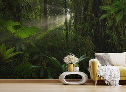 Into the Wild Jungle Wallpaper