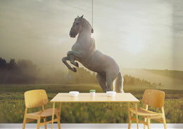 Modern dining room wall featuring horse wallpaper with rearing stallion in warm sunlight, ideal for statement spaces