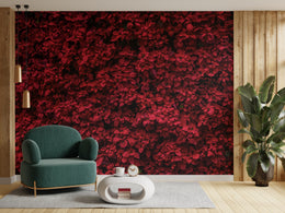 Elegant Red Poinsettia | Floral Botanical Peel and Stick Wallpaper