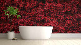 Elegant Red Poinsettia | Floral Botanical Peel and Stick Wallpaper