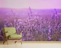 Purple Beauty of Lavender Floral Wallpaper