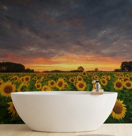 Golden Sunflower Bloom Peel and Stick Wallpaper