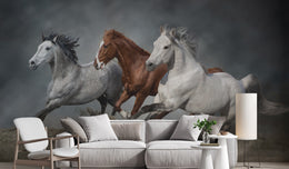 Luxury living room wall decor featuring running horses wall mural with flowing manes in soft grey tones, ideal for premium interiors