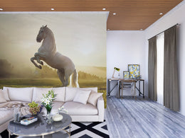 Stylish hallway featuring horse wallpaper with dynamic stallion in golden field, perfect for welcoming interiors